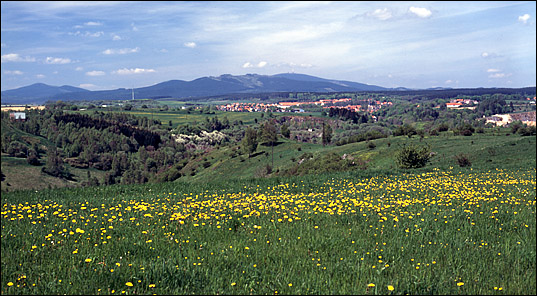 Harz