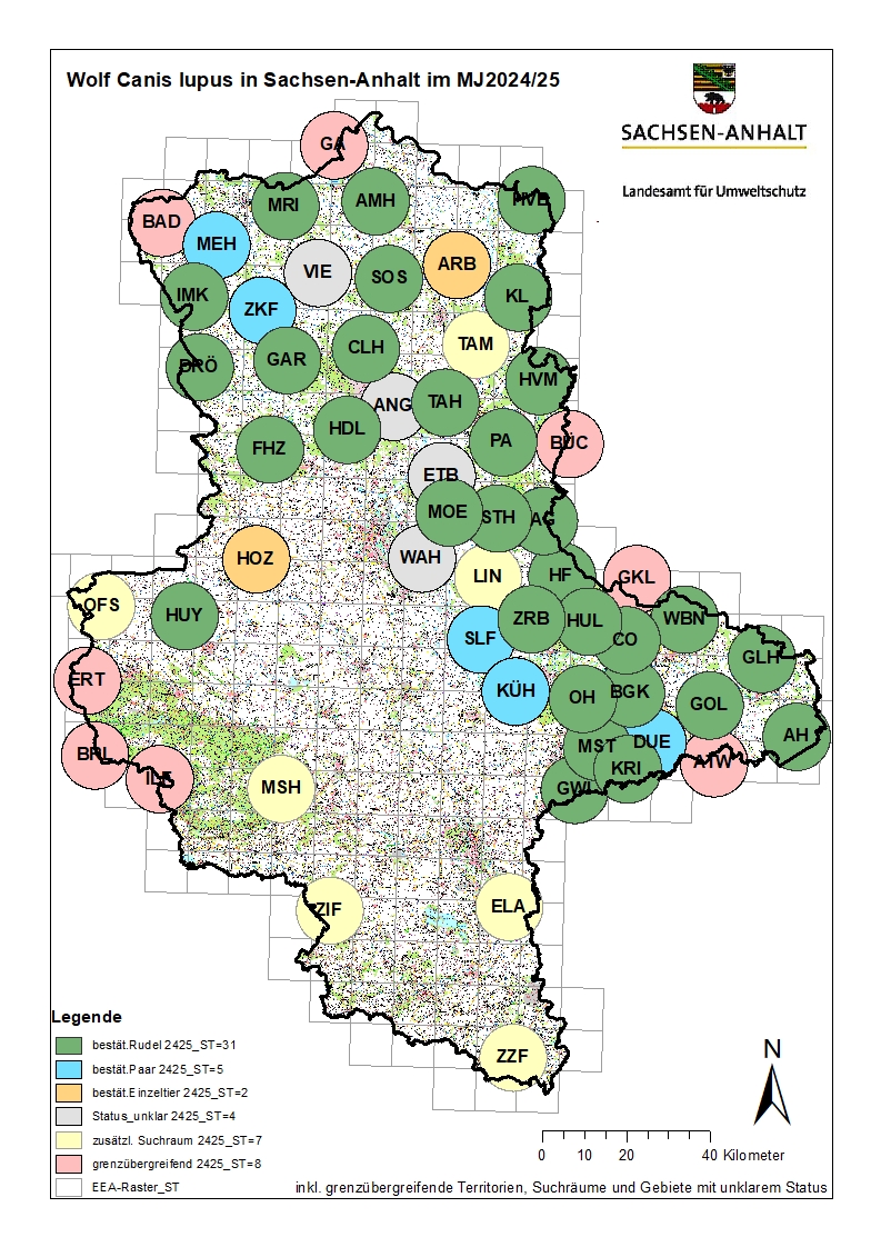 Wolfsvorkommen in Sachsen-Anhalt 2024/2025