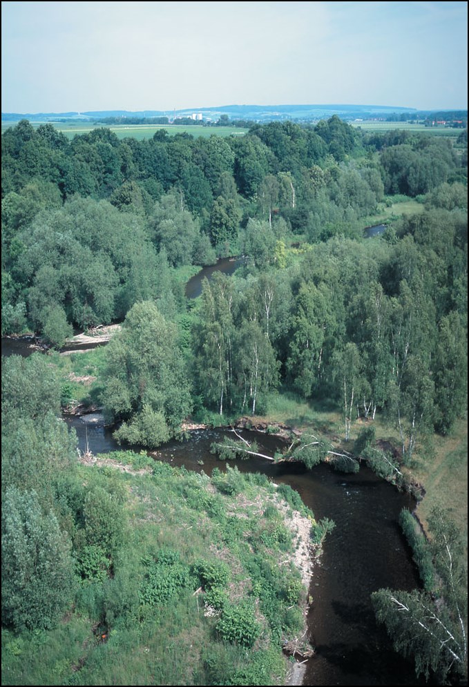 Naturschutzgebiet Okertal 2002
