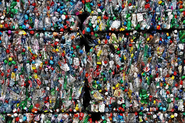 Plastikflaschen für das Recycling