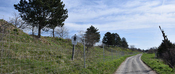 Weg mit einem Metallzaun auf der linken Seite