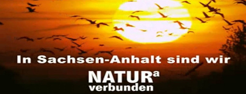 Filmtrailer zum europäischen Naturschutz in Sachen-Anhalt Filmtrailer zum europäischen Naturschutz in Sachen-Anhalt
