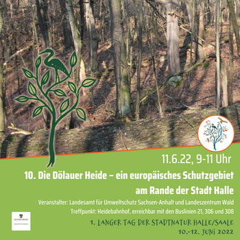 Veranstaltungsankündigung Rundgang Dölauer Heide am 11.06.2022, 9:00 Uhr