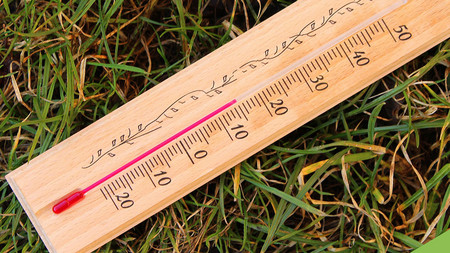 Ein Thermometer, das im Gras liegt, zeigt 15 Grad Celsius. . 