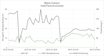 Grafische Darstellung der Entwicklung bei Black Carbon