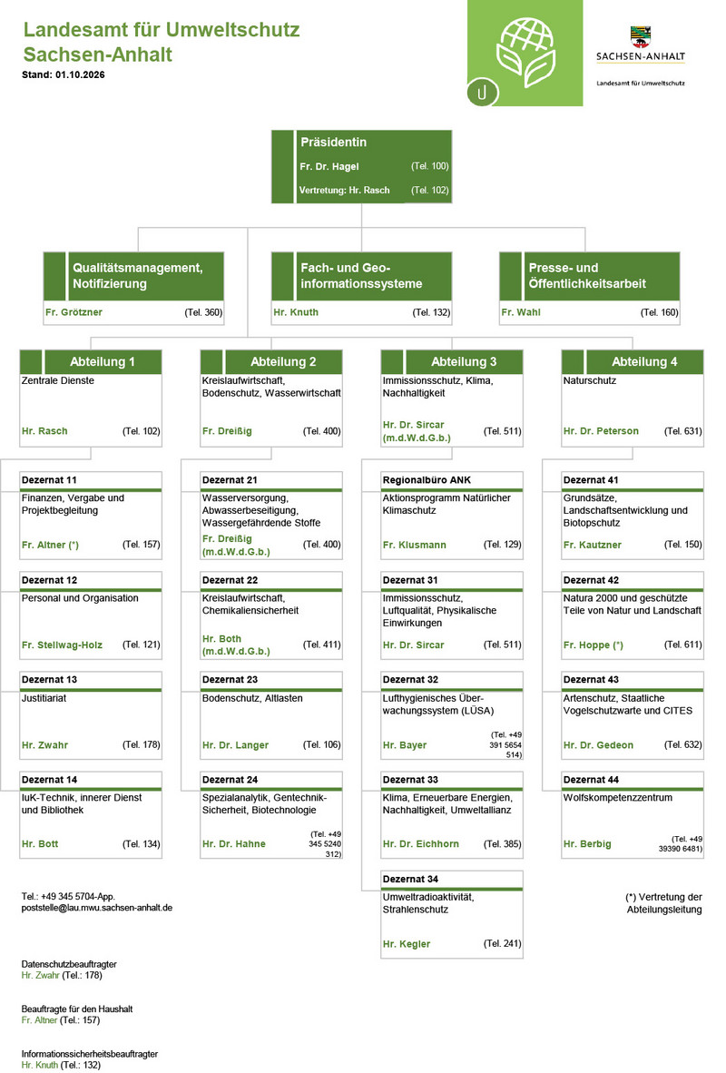 Vorschau Organigramm