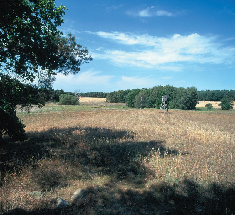 Vorfläming südlich von Woltersdorf (August 2003)