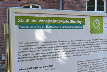 Informationstafel der Vogelschutzwarte Steckby