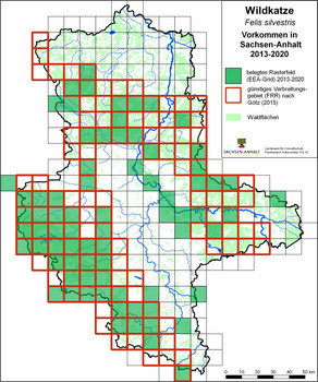 Vorkommen der Wildkatze in Sachsen-Anhalt 2013-2020