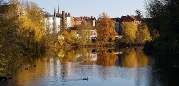 Herbstliche Ansicht einer Stadt, im Vordergrund Gewässer mit einer Ente