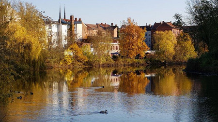 Herbstliche Ansicht einer Stadt, im Vordergrund Gewässer mit einer Ente