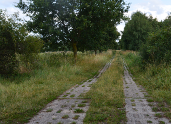 Kolonnenweg