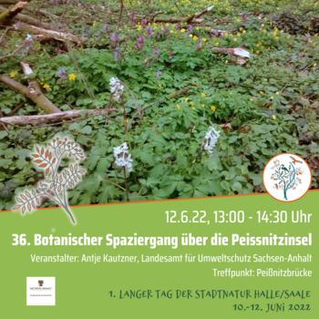 Veranstaltungsankündigung "Botanischer Spaziergang" am 11.06.2022, 13 Uhr