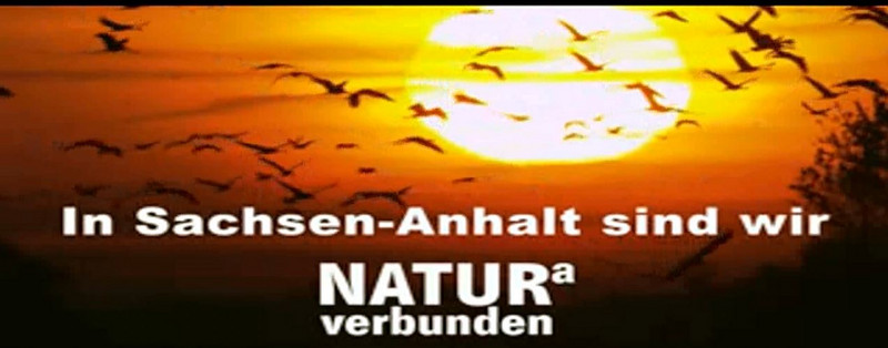 Filmtrailer zum europäischen Naturschutz in Sachen-Anhalt