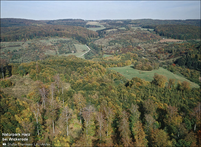 Naturpark Harz bei Wickerode