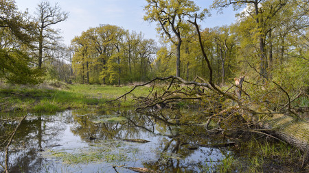 Foto der Flutrinne