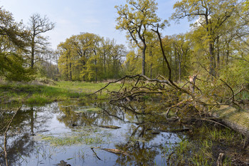 Foto der Flutrinne