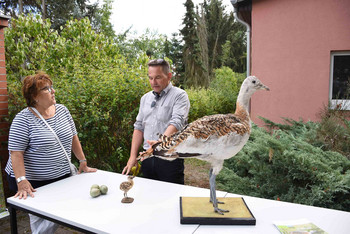 Zwei Personen an einem Tisch mit Vogelpräparaten