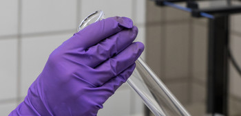 Ein Reagenzglas in einer Hand mit violettem Schutzhandschuh