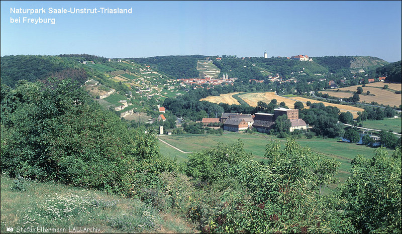 Naturpark Saale-Unstrut-Triasland bei Freyburg