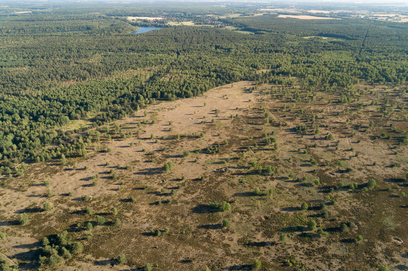 Blick über trockene Heideflächen und Kiefernforste in Richtung Möhlau mit Gewässern, die auf Braunkohleabbau zurückzuführen sind.