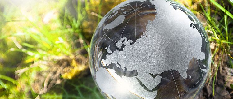 Globus aus Glas vor grünen Pflanzen